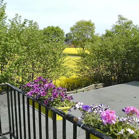 Ferienhaus Am Fuchsberg Apartment Dahme  Exterior photo